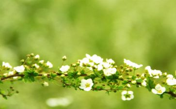 青春期的教育心得5篇