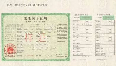 医学出生证明的自查报告5篇