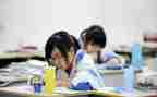 初中生物个人教学总结5篇
