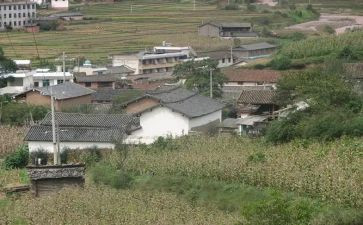 村党支部会述职报告精选6篇