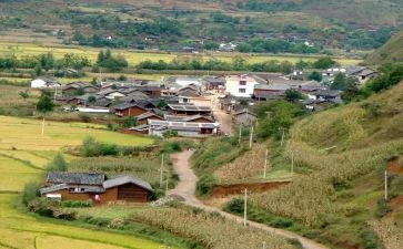 2024年村会计述职个人报告通用6篇