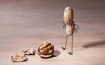 成长挫折类的作文6篇