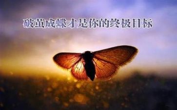 正确面对挫折的作文7篇
