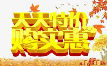 促销的工作总结优质6篇