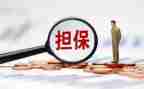最高额反担保合同6篇