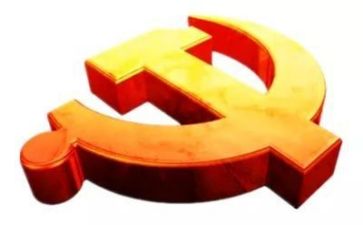 党活动的总结报告8篇