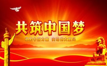 党个人总结年度个人总结模板8篇