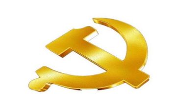 党个人总结200字优秀8篇