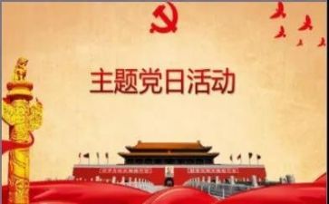 2023党日主题活动总结6篇