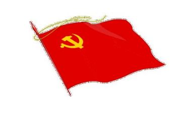 党半年度工作总结参考5篇