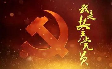 2023党日主题活动总结通用8篇