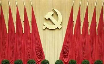 党个人年度总结优秀5篇