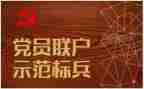 大党委述职报告通用7篇