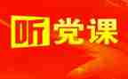 2024年党日活动总结范文最新8篇