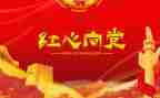 党会个人总结格式及范文8篇