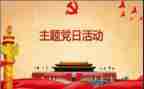 2023党日主题活动总结6篇