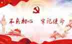 党会个人总结模板5篇