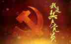 2023党日主题活动总结通用8篇