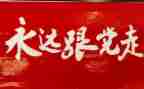 2024局党史工作总结优秀8篇