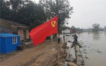 党员转正总结工作总结最新5篇