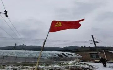 村党员转正申请书2023精选7篇