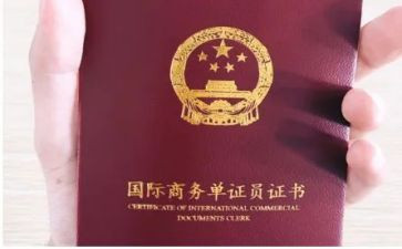 单证员实习心得7篇