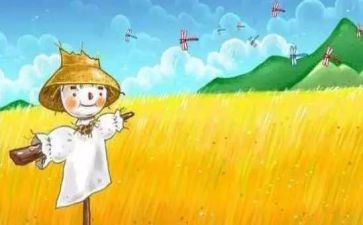 《稻草人》读书心得体会6篇