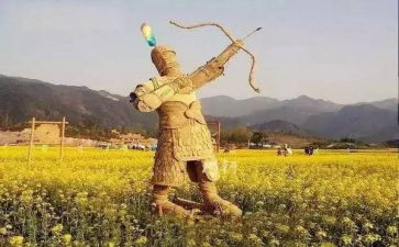 《稻草人》心得参考6篇