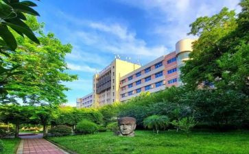 大专小学教育毕业自我鉴定7篇