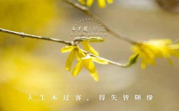 得与失总结报告优质6篇