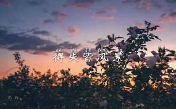 教学上的得与失演讲稿参考5篇