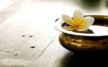 得与失总结报告优秀8篇