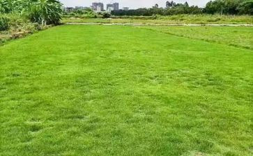 工程地质实习心得与体会6篇