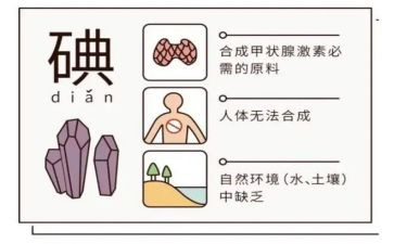 2024.5.15碘缺乏日宣传总结7篇