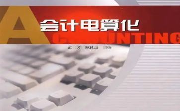电算化会计心得8篇