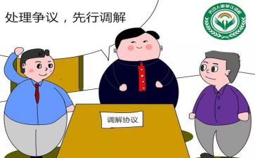 2024年行政调解工作总结6篇