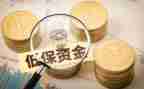 低保员述职报告6篇