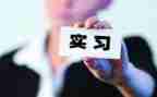 大学生顶岗实习心得优质7篇