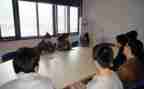 学生顶岗实习报告与总结精选7篇