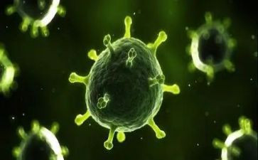 宣传禁毒活动总结5篇