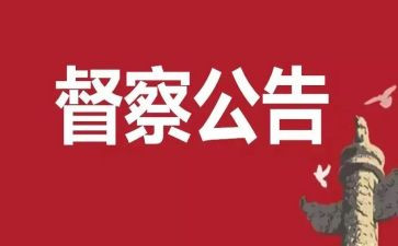 2023督查工作总结8篇