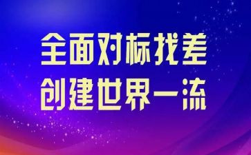 对标对表组织工作总结精选6篇
