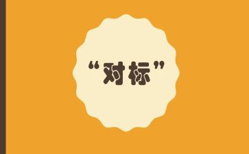 对标总结报告通用6篇
