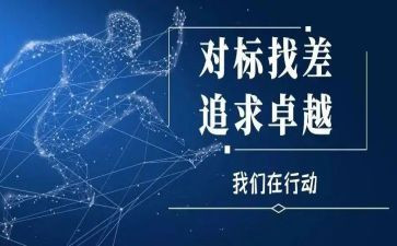 对标对表组织工作总结7篇