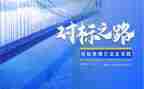 公司财务对标工作总结范文参考6篇