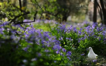 二月份教师工作总结范文7篇