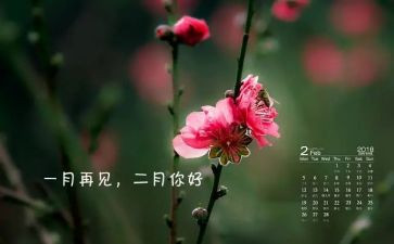 幼儿园二月份工作总结报告7篇