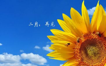 二月份幼儿园工作总结推荐6篇