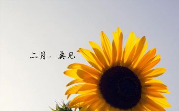 小班十二月总结5篇