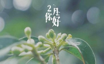二月工作计划8篇